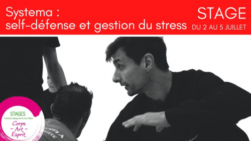 Stage d'été : Systema : self-défense et gestion du stress au quotidien